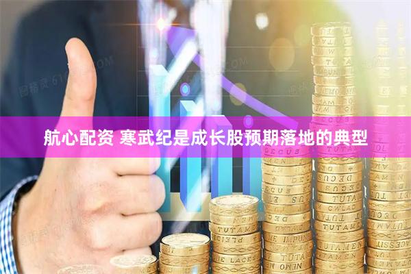 航心配资 寒武纪是成长股预期落地的典型