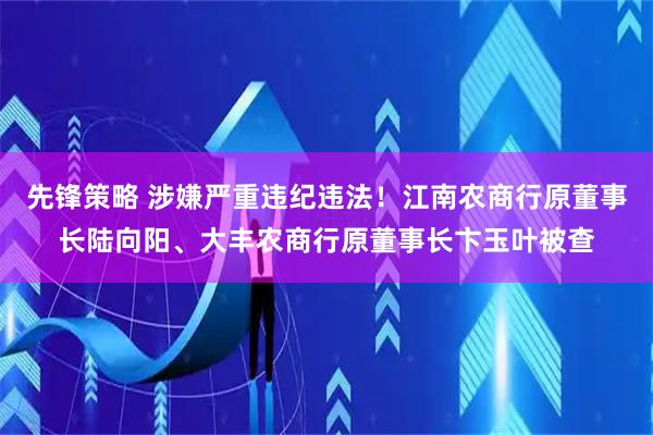 先锋策略 涉嫌严重违纪违法！江南农商行原董事长陆向阳、大丰农商行原董事长卞玉叶被查