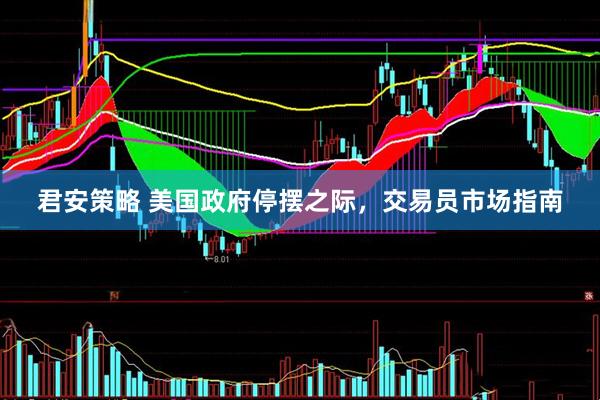 君安策略 美国政府停摆之际，交易员市场指南