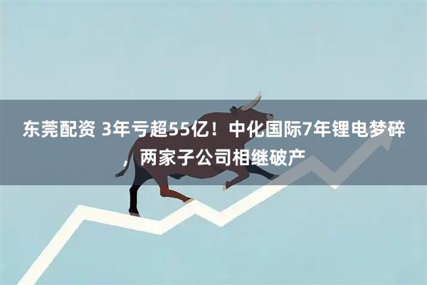东莞配资 3年亏超55亿！中化国际7年锂电梦碎，两家子公司相继破产