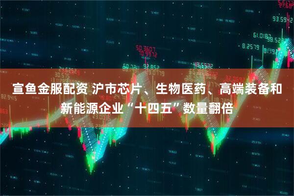 宣鱼金服配资 沪市芯片、生物医药、高端装备和新能源企业“十四五”数量翻倍