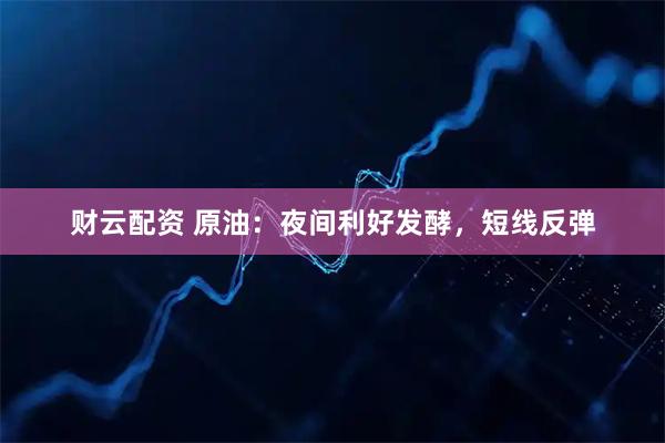 财云配资 原油:夜间利好发酵,短线反弹